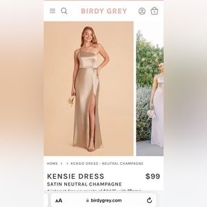 Kensie dress neutral champagne